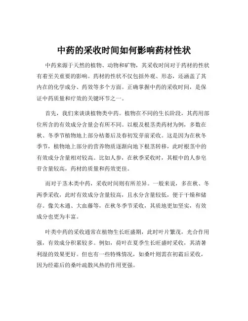 中药的采收时间如何影响药材性状