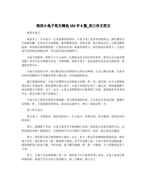 我的小兔子范文精选450字6篇_初三作文范文