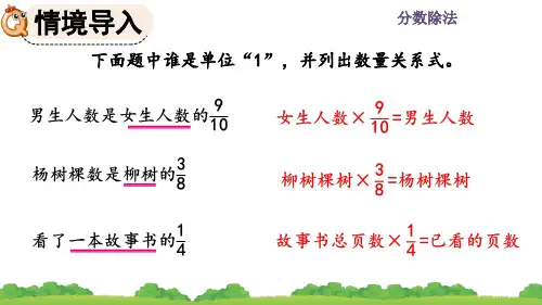 《分数除法的应用2》PPT课件 人教数学六年级上册(最新)