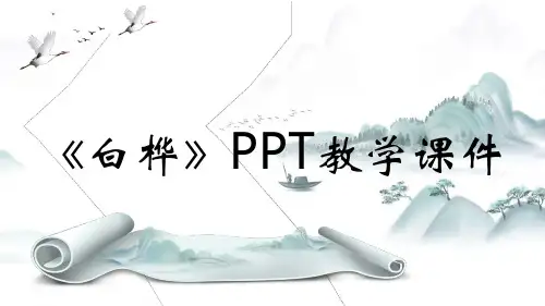 《白桦》PPT教学课件