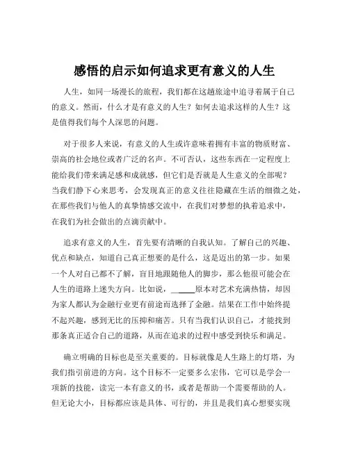感悟的启示如何追求更有意义的人生