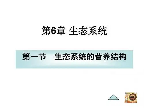 61生态系统的营养结构(精)