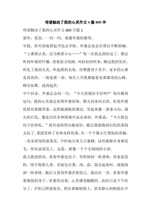 母爱触动了我的心灵作文4篇800字