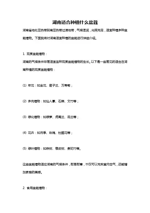 湖南适合种植什么盆栽