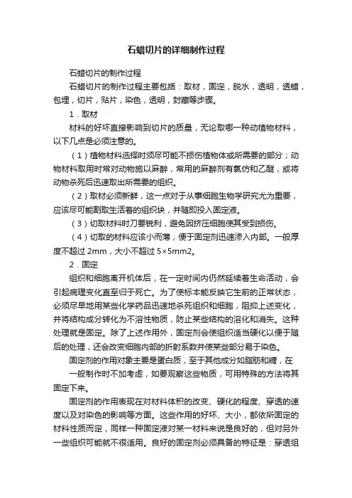 石蜡切片的详细制作过程