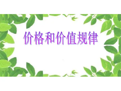 《价格与价值规律》PPT课件
