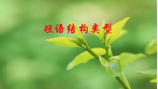 短语结构类型(七年级下)