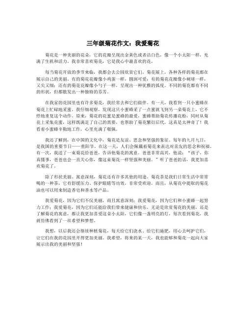 三年级菊花作文：我爱菊花