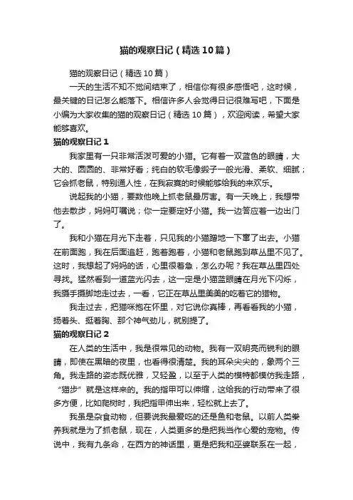 猫的观察日记（精选10篇）