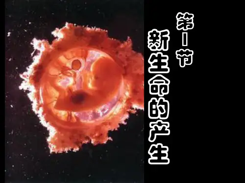1.1新生命的诞生PPT课件(初中科学)