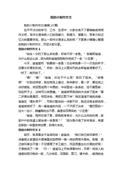 我的小制作作文（集锦10篇）