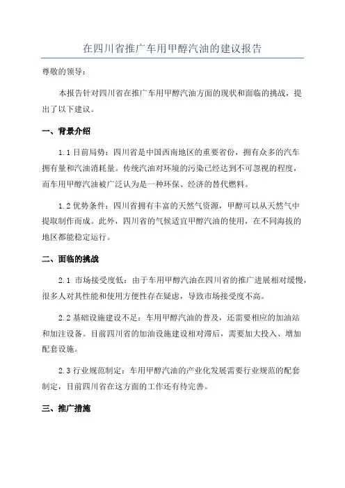 在四川省推广车用甲醇汽油的建议报告