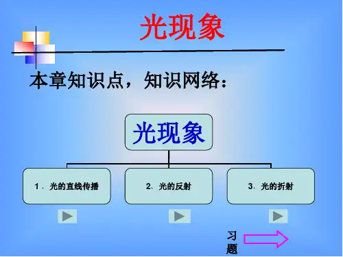 初中物理光现象复习ppt课件