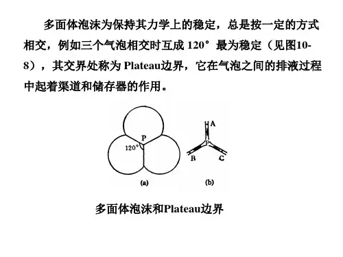第七章泡沫ppt课件