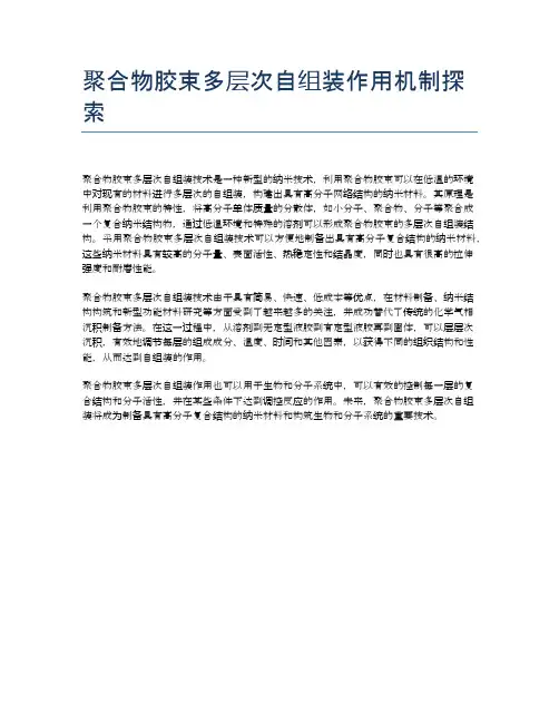 聚合物胶束多层次自组装作用机制探索