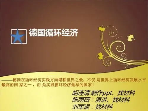 胡连清-循环经济