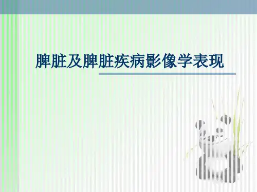 脾脏与脾脏疾病影像学表现