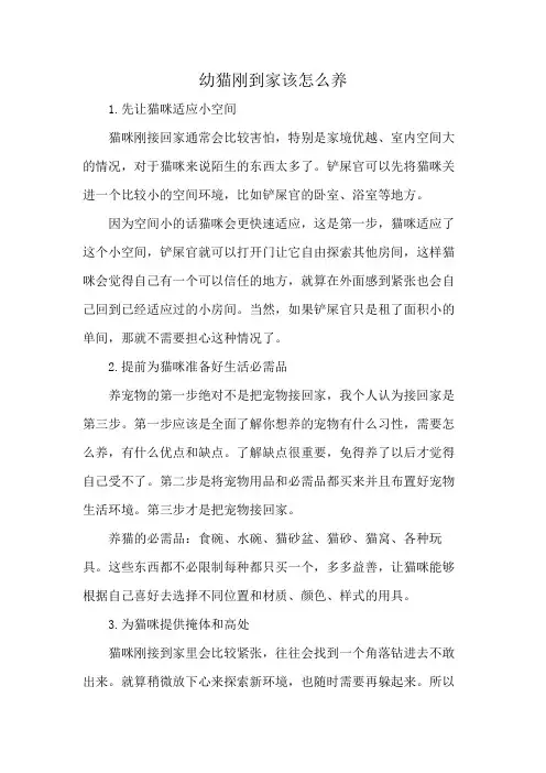 幼猫刚到家该怎么养