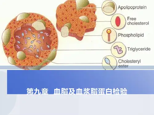血脂及血浆脂蛋白检验