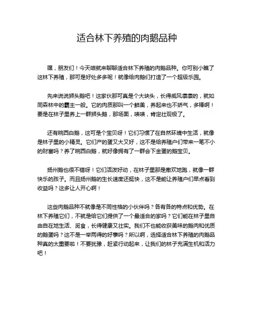 适合林下养殖的肉鹅品种