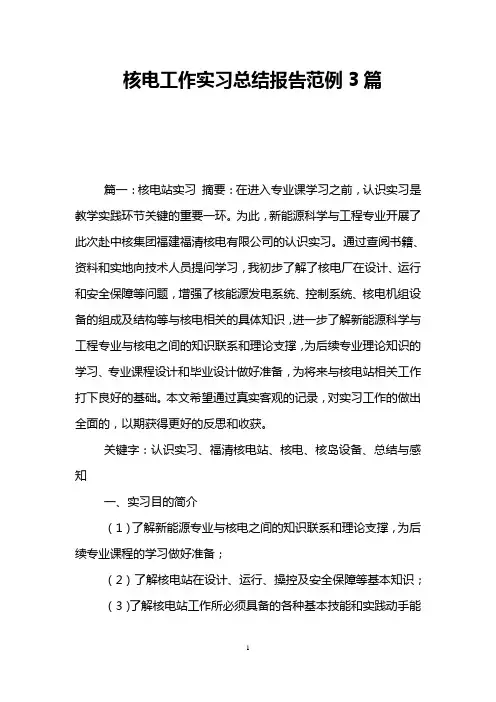 核电工作实习总结报告范例3篇