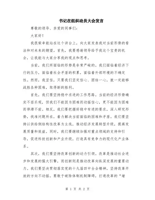 书记在组织动员大会发言