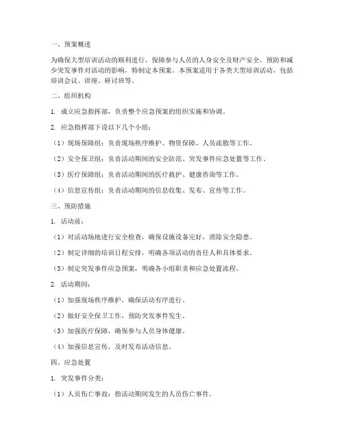 大型培训应急预案