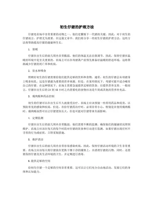 初生仔猪的护理方法