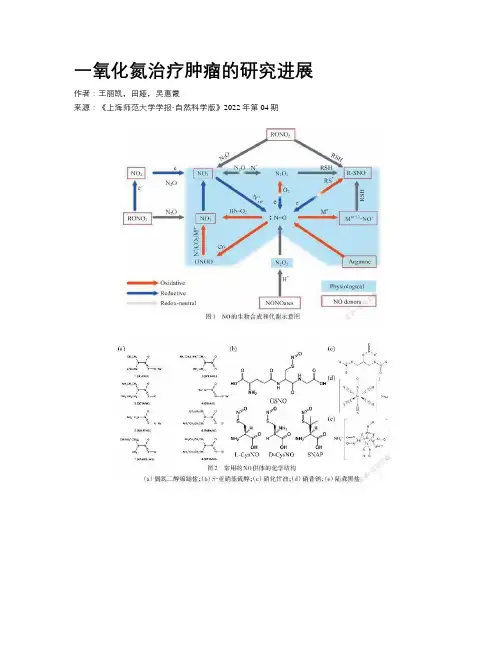 一氧化氮治疗肿瘤的研究进展