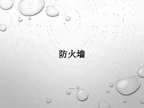 防火墙精品PPT课件