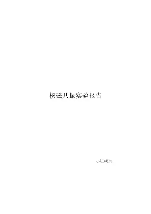 磁共振成像实验报告