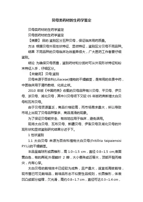贝母类药材的生药学鉴定