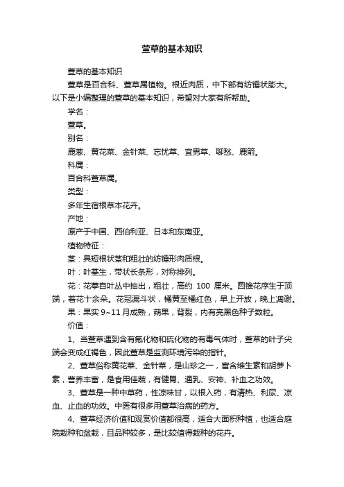 萱草的基本知识
