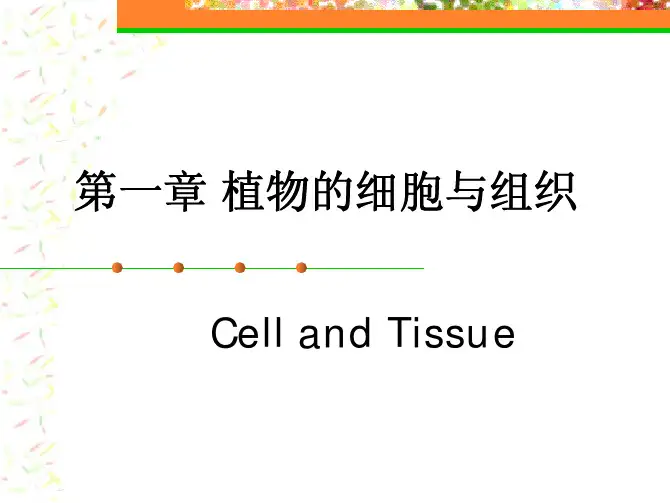 植物细胞的形态与结构