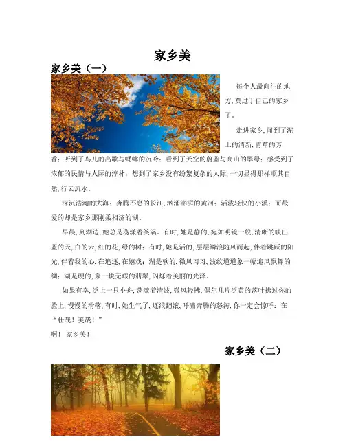 家乡美(共10篇)