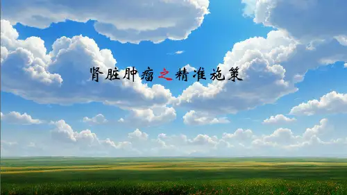 病例汇报——肾错构瘤
