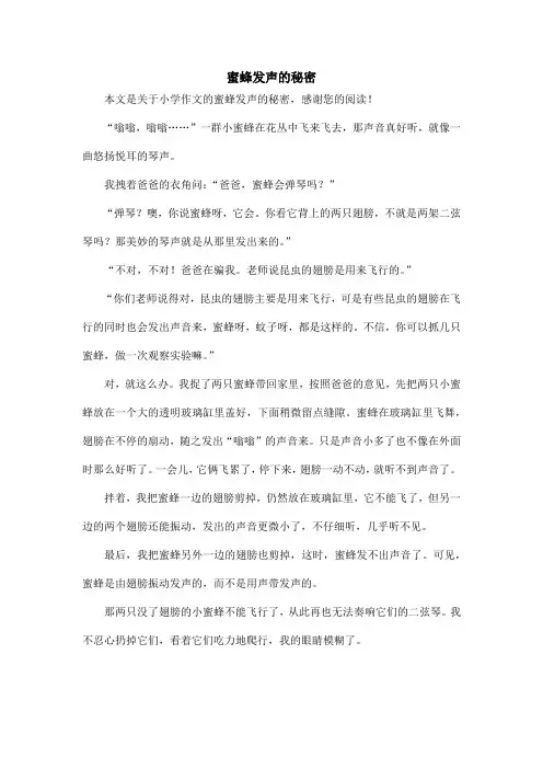 蜜蜂发声的秘密_小学作文