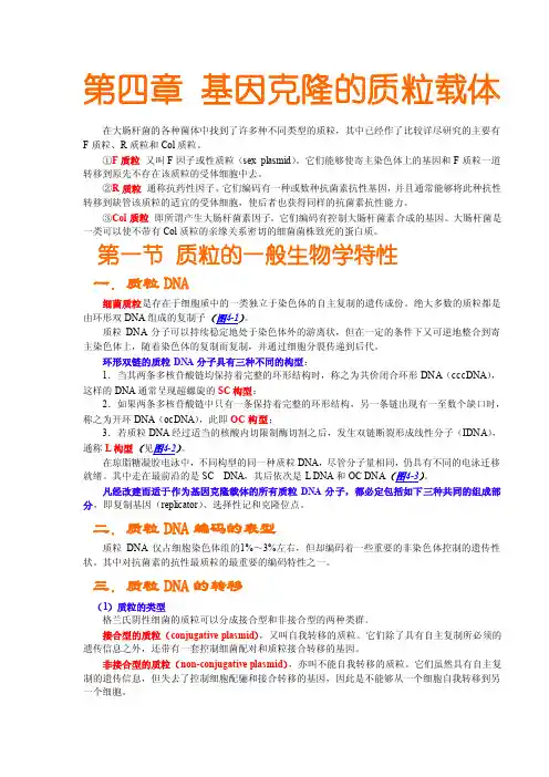 质粒特征[精华]