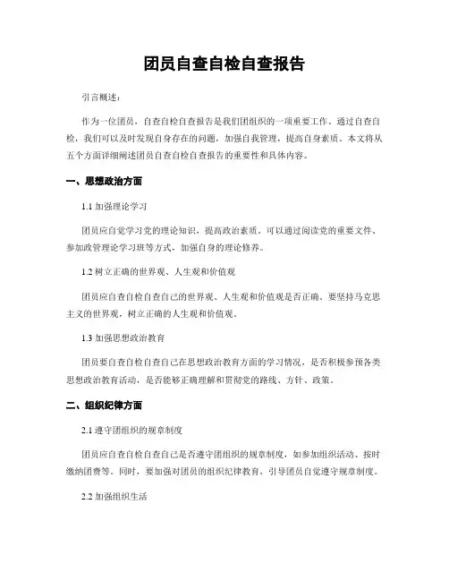 团员自查自检自查报告