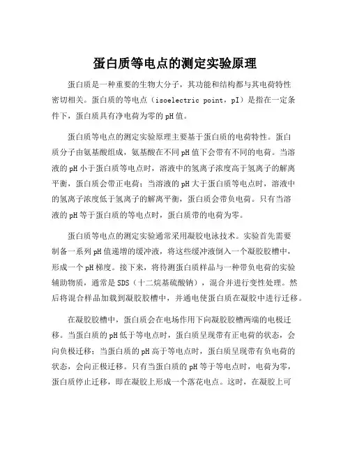 蛋白质等电点的测定实验原理