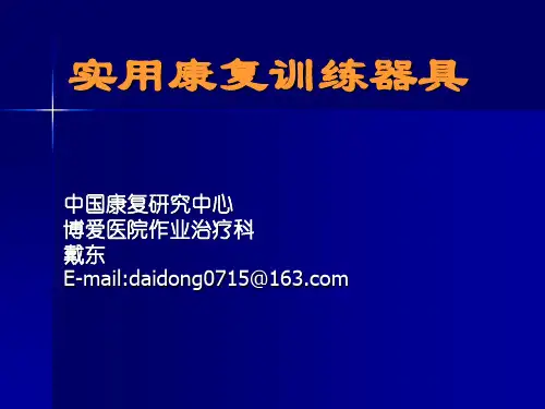 实用康复训练器具 (6)