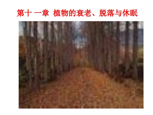 第十一章  植物的衰老脱落与休眠PPT课件