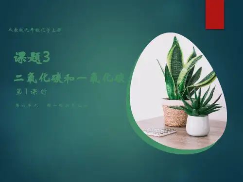初中科学精品课件：二氧化碳(课件)共19张PPT)