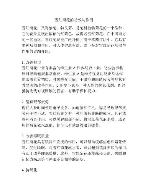 雪红菊花的功效与作用