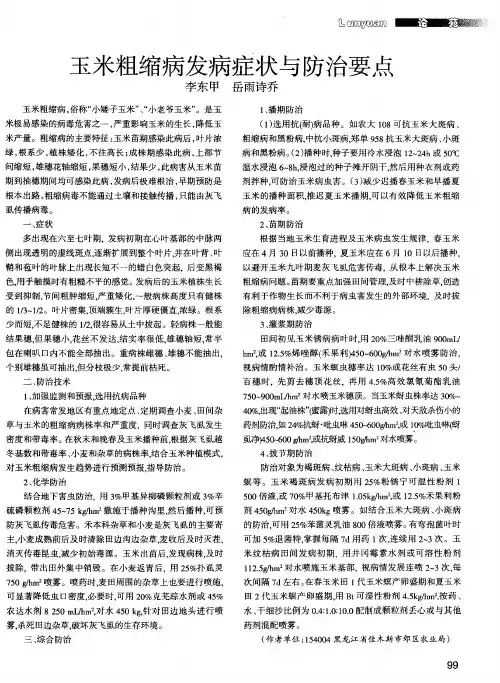 玉米粗缩病发病症状与防治要点