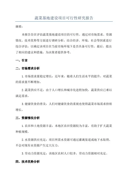 蔬菜基地建设项目可行性研究报告
