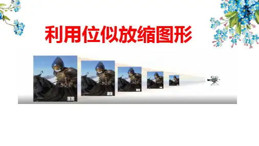 初中数学课件《利用位似放缩图形》公开课课件