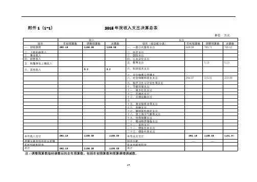 2015年度收入支出决算总表【模板】