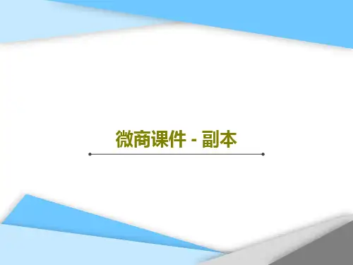 微商课件 - 副本21页PPT