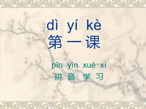 对外汉语入门基础课程课件ppt